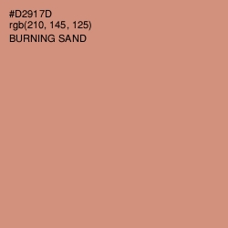 #D2917D - Burning Sand Color Image